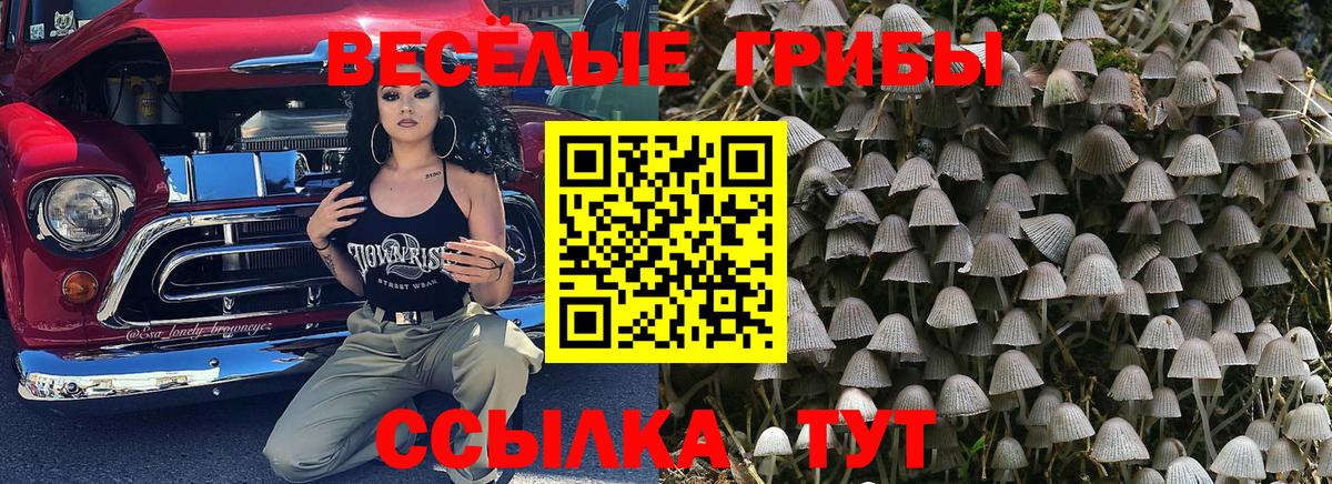 Галлюциногенные грибы ЛСД  Вход с VPN  Лесосибирск  Галлюциногенные грибы прущие грибы 